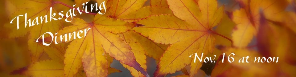 Thanksgiving Event Banner with Yellow Maple Leaves in Background