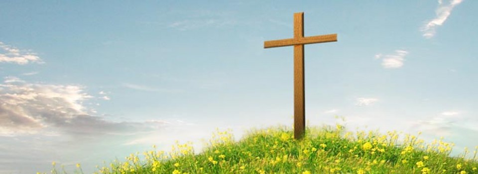 Picture of Cross on Hill with Yellow Flowers in Front